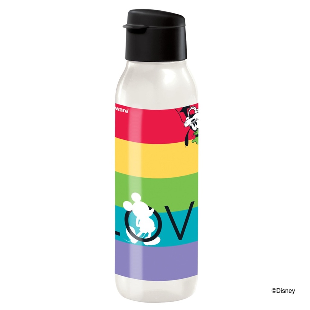 Tupperware Disney Rainbow Water Bottle